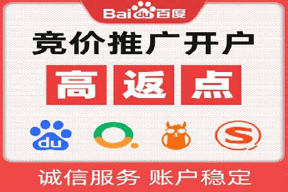 百度竞价推广案例：行业领军者成长故事